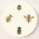 Zoek naar kevers onderzetters Insecten