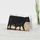 Zoek naar koeien kaarten Natuur