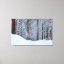 Zoek naar stilte canvas prints Natuur
