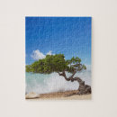Zoek naar aruba puzzels Eiland