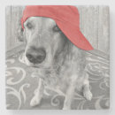 Zoek naar gouden onderzetters Grappig