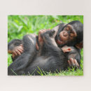 Zoek naar chimpansee puzzels Aap
