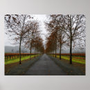 Zoek naar asfalt posters Herfst