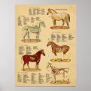 Zoek naar huisdier posters Boerderij