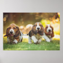Zoek naar babydieren posters Hond