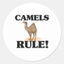 Zoek naar kameel stickers Zoogdier
