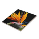 Zoek naar zwarte achtergrond tegels Elk persoon