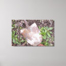 Zoek naar onkruid kunst Foto