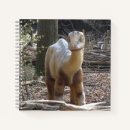 Zoek naar dinosaur notitieboeken Elk persoon
