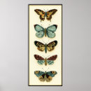 Zoek naar insecten kunst Crème