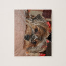 Zoek naar yorkshire terrier puzzels Schattig