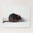 Zoek naar ratten puzzels Schattig