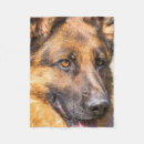 Zoek naar duitse dekens Gsd