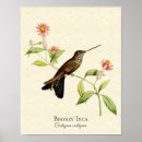 Zoek naar vintage vogels posters Tropisch