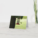 Zoek naar kolibrie kaarten Fotografie