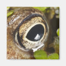 Zoek naar macro magneten Buiten