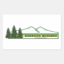 Zoek naar groene strepen stickers Elk persoon