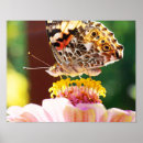 Zoek naar macro kunst Floreel
