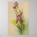 Zoek naar victoriaans afbeeldingen posters Vintage
