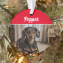 Zoek naar dachshund ornamenten Voor huisdieren