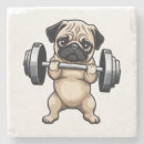 Zoek naar gewichten onderzetters Geschiktheid