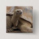 Zoek naar molen buttons Dier