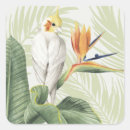 Zoek naar oranje vogel stickers Gebladerte