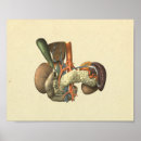 Zoek naar interne anatomie posters Menselijk