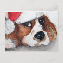 Zoek naar gordon briefkaarten Puppy