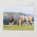 Zoek naar schotland briefkaarten Boerderij
