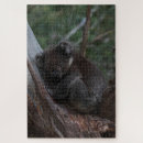 Zoek naar koala puzzels Australië