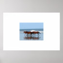 Zoek naar paard strand posters Paarden