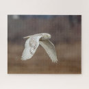 Zoek naar snowy owl puzzels Sneeuwowl