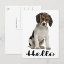 Zoek naar beagle briefkaarten Grappig