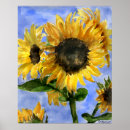 Zoek naar waterverf schilderijen posters Zonnebloem