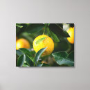 Zoek naar eetkamer kunst Wanddeksel