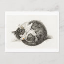 Zoek naar anniversaire Academau