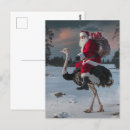 Zoek naar grappige kerstmis briefkaarten Santa