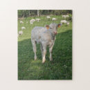 Zoek naar koeien puzzels Boerderijdieren