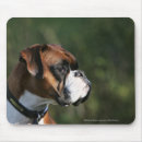 Zoek naar headshot muismatten Boxer