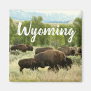 Zoek naar wyoming magneten Bizon