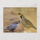 Zoek naar partridge posters briefkaarten Vogel