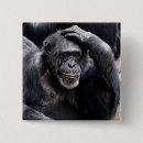 Zoek naar chimpansee buttons Gorilla