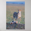 Zoek naar kenia kunst Africa