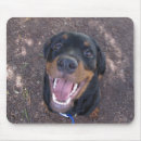 Zoek naar rottweiler muismatten Rottie