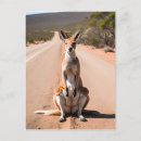 Zoek naar outback briefkaarten Fotografie