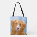 Zoek naar toller accessoires Hond
