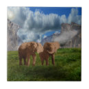 Zoek naar elephant tegels Afrika