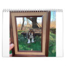 Zoek naar basset kalenders Hound