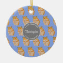 Zoek naar hamsters ornamenten Schattige hamster